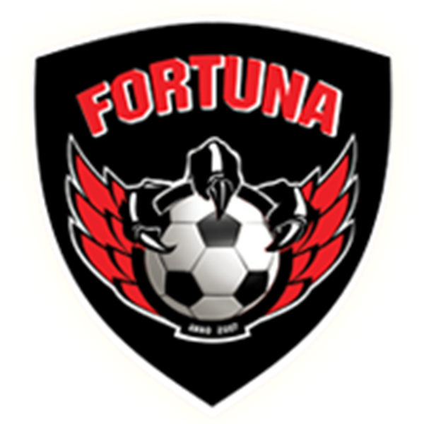 https://img.ntjiajun.com/img/football/team/2d749c6346d1955117568c0370cf8b23.png