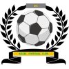 https://img.ntjiajun.com/img/football/team/6dc6d59af2f0962597b412473a6708ee.png